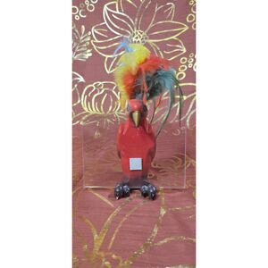 Rare Tropical Parrot 4x6 Picture Holder